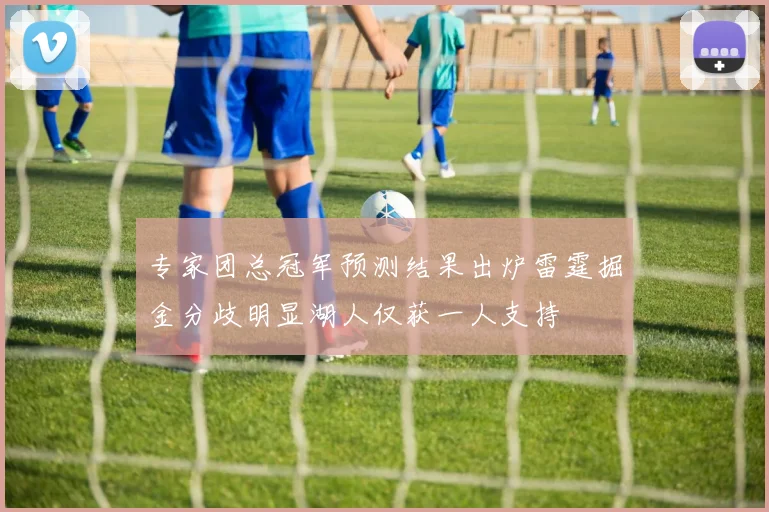 专家团总冠军预测结果出炉雷霆掘金分歧明显湖人仅获一人支持