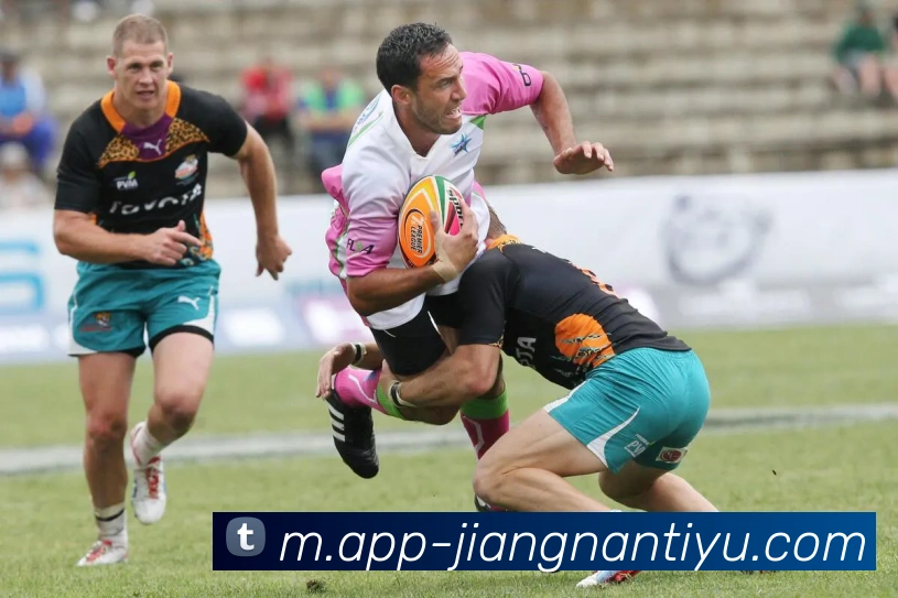 App Interface Preview